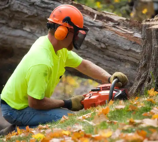 tree services Lockport Heights